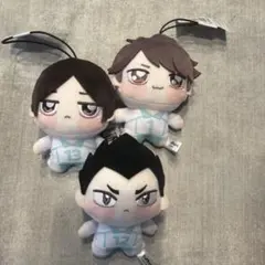 ハイキュー!! ちょぴぬいぷち5 岩泉一 及川徹 国見英 金田一勇太郎 青葉城西 ハイキュー 青葉城西(及川徹・岩泉一・金田一勇太郎・国見英) ちょぴ