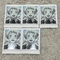 本多行　ぱしゃこれ