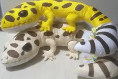 Item thumbnail for item adbfdc7f-dcf1-4605-affd-23e8eef14611