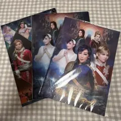 t*i様 ハウステンボス歌劇団 マイヤーリング役代わり公演DVD - メルカリ