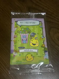 たまごっちのプチプチおみせっちしり〜ず トレカケース　まるっち（はなやさん）