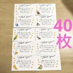 サンキューカード 手書き 鳥　アニマル40枚セットNo.53