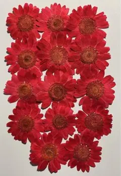 ユッキー様 リクエスト 2点 まとめ商品