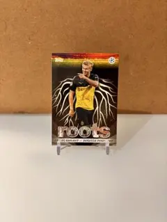 Item thumbnail for item 232d064c-a8cc-4509-9b85-c79c806a3119