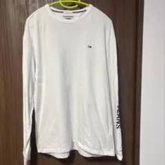 Item thumbnail for item 7fcc8c85-a75b-4299-bcd2-877810a762e9