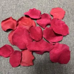 Item thumbnail for item a4b677d5-0b7a-4377-93dd-be152f9e6653