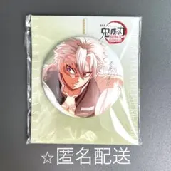 鬼滅の刃　不死川実弥　缶バッジ　無限城編　飾れる缶バッジ　描き下ろしイラスト