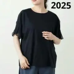 2025✨️美品✨️レリアンホワイトレーベル異素材切替カットソーブラウス　XLのサムネイル