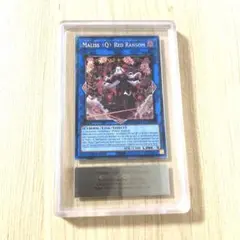 ars10 遊戯王OCG デュエルモンスターズ(外国語版)