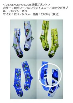 未使用品 Tabio×ディリジェンスパーラー コラボ靴下 ブルーポラ
