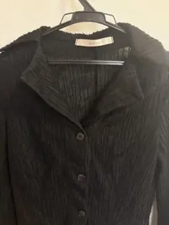 レースブラウス　襟付きトップス　シースルー　フリーサイズ