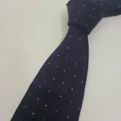 Item thumbnail for item fc376448-b91d-4b1e-aa6c-8adf6962376e