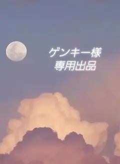 ゲンキー様 リクエスト 3点 まとめ商品