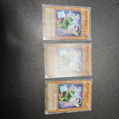 パペットプラント 米1st 3枚セット