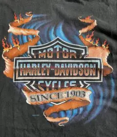 Harley-Davidson Tシャツ フレイムス　ファイヤー　ヴィンテージ