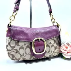 ✨超希少✨COACH ワンショルダー ソーホー パープル　y2k