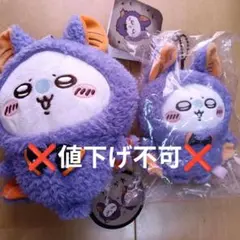 치이카와 모모가 みんなで仮装なマスコット コウモリな 모모가 ハロウィン