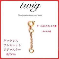 425極細ネックレス延長アジャスターゴールドサージカルステンレス2㎝長さオーダーのサムネイル