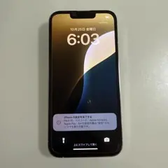 Apple iPhone 13Pro シルバー　256GB