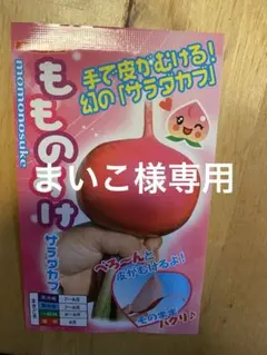 まいこ様専用です