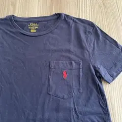 Polo Ralph Lauren ネイビー Tシャツ XS