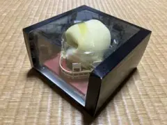 模型