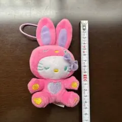 2025年最新】キティ うさぎ ぬいぐるみの人気アイテム - メルカリ