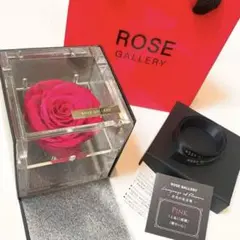 Item thumbnail for item 57a54c23-8afd-424a-a193-214ae5f21c61