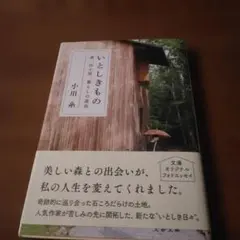 いとしきもの 森、山小屋、暮らしの道具