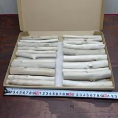 流木セット　no.391