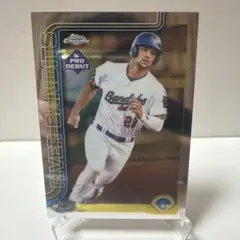 Item thumbnail for item d83ed1b7-d7b9-4a44-962f-f1892a5c091b