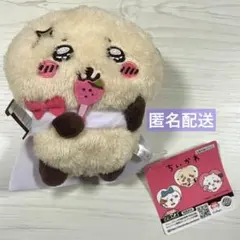 2025年最新】ちいかわ ラッコと一緒ぬいぐるみの人気アイテム - メルカリ