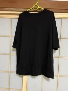 【レプシィム】310さんTシャツ