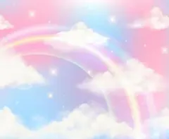 虹☆様専用ページです✩.*˚