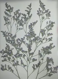 Item thumbnail for item f51b5a09-bcf4-45cb-b76a-5abfcd6d1adf