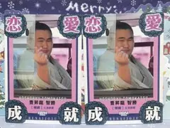 Item thumbnail for item 24b49310-cb2f-49ab-8044-d935e83ff422