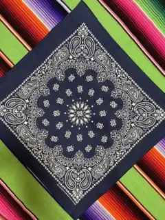 【sale!!!】⑧①⑧70s USA製 バンダナ HAV-A-HANK