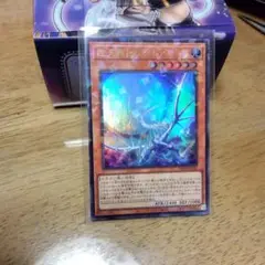 最安値！眩月龍セレグレア ウルパラ 25WP ランキングデュエル