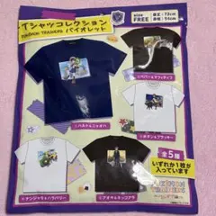 Tシャツコレクション　ポケモントレーナーズ　バイオレット　パルデア編