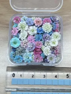 ハンドメイド　花材　ドライフラワー　かすみ草　mixカラー　100粒以上　②
