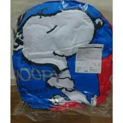 スヌーピークッション