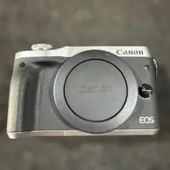 Item thumbnail for item 998ae3a0-55ac-4ad1-b848-acde2c9896ee