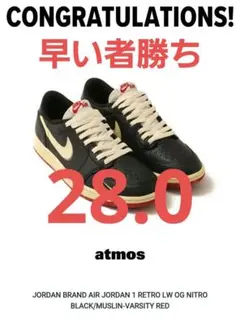 Nigel Sylvester × Nike Jordan1 28.0センチ