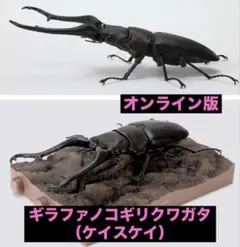 2026年最新】いきもの大図鑑の人気アイテム - メルカリ
