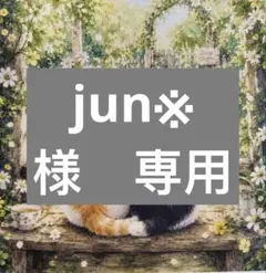 jun※お取り置き以外のオーダー休止中　様　専用