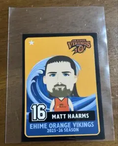 naosan様 リクエスト 2点 まとめ商品