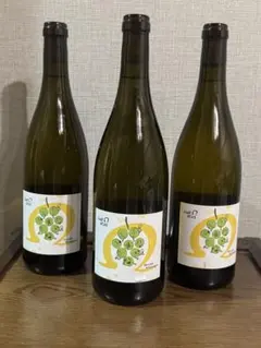 ワイン HATSUYUKI Late Harvest Kerner 2016 750ml HATSUYUKI Late Harvest Kerner 2016 750ml - メルカリ