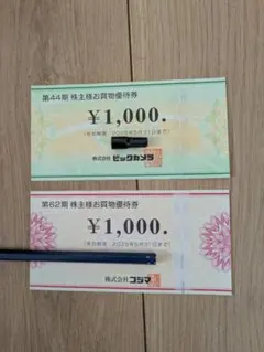 ビックカメラ&コジマ株主優待10,000円分5月31日締