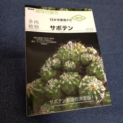 空ツバメ様 リクエスト 3点 まとめ商品