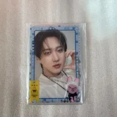 Stray Kids チャンビン　フォトカードスリーブセット